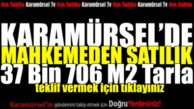 Karamürsel'de mahkemeden satılık 37 bin 706 m2 tarla