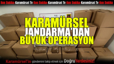 Karamürsel Jandarma'dan büyük operasyon